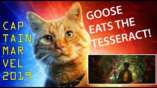 Captain Marvel 2019 Goose the cat flerken eats tesseract scene [upl. by Varney]