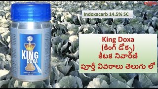 Indoxacarb 145 SC కీటక నివారిణి పూర్తీ వివరాలు తెలుగు లో  King Doxa కింగ్ డోక్స [upl. by Teplitz]