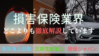 【14分で業界研究】損保業界とはビジネスモデルから3メガ損保の企業研究まで徹底解説 [upl. by Alvera106]