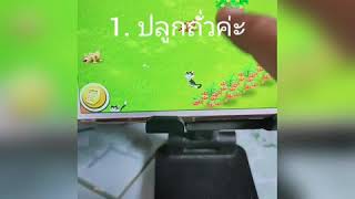 เก็บถั่วHayday [upl. by Eram]