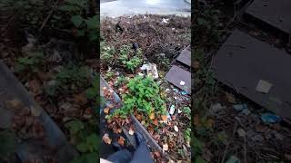 Tameside Ashton Under Lyne tameside angelarayner england Fly Tipping Litter Waste Society TMBC [upl. by Ranice530]