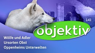 objektiv  Menschen Leben RheinlandPfalz 141 [upl. by Ahsiel]