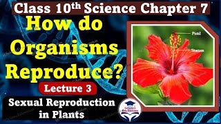 How do Organisms Reproduce Class 10th CBSE  Sexual Reproduction  Lecture 3 ScienceEdustation [upl. by Ecad]