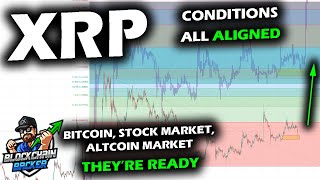 Perfect Formula for XRP Price Chart to Shine Conditions in Bitcoin Stock Market and Altcoin Market [upl. by Yenhpad]