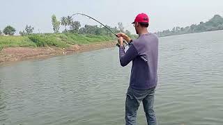 Big monster wallago attu catfish hunting  river monster incredible big pathan fish catching [upl. by Elodia]