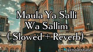 Maula Ya Salli Wa Sallim  slowed amp reverb [upl. by Anaylil]