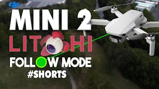 Testing DJI Mini 2 Follow Me Mode  Litchi Review [upl. by Kcirddahc]