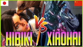 🔥SF6🔥HIBIKI LILY VS XIAOHAI BISON🔥STREET FIGHTER 6 HIGH LEVEL MATCHES🔥 [upl. by Lytton]