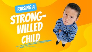 Strong Willed Child with Cynthia Tobias [upl. by Nertie]