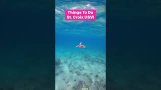 Things to Do Frederiksted St Croix travel [upl. by Annet70]