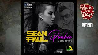 Sean Paul  Punkie Jamstone Remix [upl. by Eanore804]