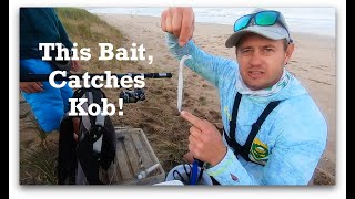 KOB BAIT Presentation QUICK  SIMPLE EASY and VERY EFFECTIVE [upl. by Nomit767]