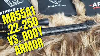 22250 Rem vs Body Armor Comprehensive Testing [upl. by Ettennyl]