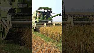 Malkit 997 Harvester 🌾✨️ shorts trending viralshorts farming malkit harvest [upl. by Asa411]