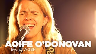 Aoife O’Donovan with string quartet – Live at WGBH [upl. by Sutsuj279]