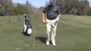 Edwin Watts Golf  WattsTips Alignment Stick Swing Plane Drill [upl. by Amati914]