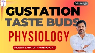 Taste buds Structure Gustation physiology Malayalam Tongue Anatomy Malayalam [upl. by Charlene]