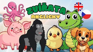 ✨ ANGLIČTINA PRO DĚTI  ZVÍŘATA 🦁  Učíme se zvířátka anglicky  Zábavné vzdělávací video pro děti 🐶 [upl. by Knox549]