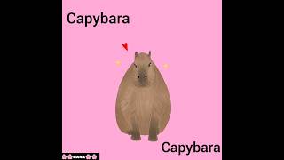 Cute Capybara ❤ animationvideo animestyleart shortvideo [upl. by Casmey390]