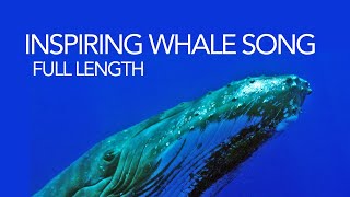 Whale song  full length humpback whale song  soothing sounds of the sea for meditation [upl. by Selrhc254]