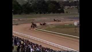 1984 Kilmore Pacing Cup  Raging Bull [upl. by Olivann757]