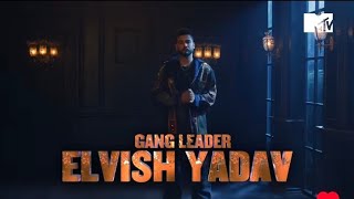 MTV Roadies XX Audition Start  Elvish Yadav Rao Sahab Judge  MTV Roadies New Season Audition 2024 [upl. by Disini619]