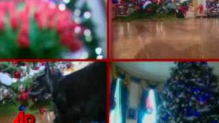 Raw Video Barneys Final Christmas Video [upl. by Goto569]