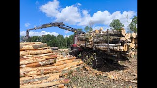 Forwarder Komatsu 855 Husqvarna 560 xpg [upl. by Pattison]