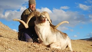 Marco Polo Hunting Ovis Ammon Polii  Tajikistan [upl. by Ihteerp]