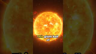 The Ultimate Heat Source The Sun space sun nasa factsaboutspaceandtheuniverse astronomy [upl. by Enahc]