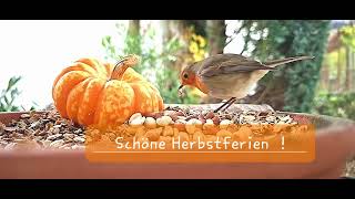 Schöne Herbstferien [upl. by Ynhoj229]