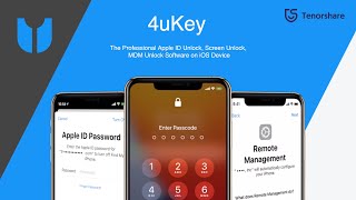 4uKey Full Guide 2020  The Best iPhone Unlocker Software [upl. by Aklam]