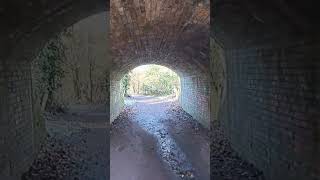 BAGGERIDGE COUNTRY PARK OLD MINING RAILWAY explore travel mining youtubeshorts youtube vlog [upl. by Sjoberg131]