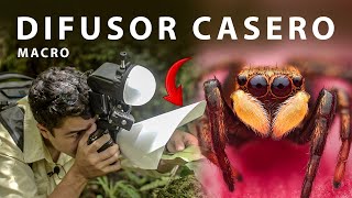 DIFUSOR para FOTOGRAFÍA MACRO CASERO  Así se hace 📸​ [upl. by Ajiam488]