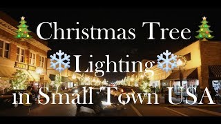 TREE LIGHTING in Small Town America [upl. by Domonic]