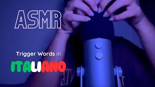 ASMR ITA 🇮🇹 Trigger Words Mic Scratching amp Carezze 🍪 SUPER RILASSANTE [upl. by Colwell281]