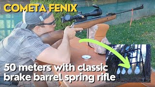 Shooting target at 50 meters with classic break barrel spring rifle [upl. by Alys]