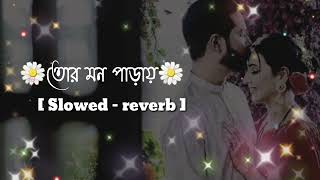 Tor Mon Paray Lofi  slowed  reverb  Mahdi Sultan  তোর মন পাড়ায়  Jisan Khan Shuvo [upl. by Darken]