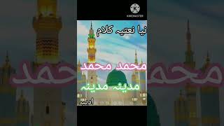 new nat muhmmd muhmmd mdeena mdeen نئ نعت ۔۔محمد محمد مدینہ مدینہ [upl. by Nujra]