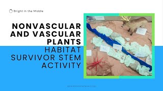 Nonvascular and Vascular Plants Habitat Survivor STEM Activity [upl. by Carhart]