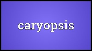 Caryopsis Meaning [upl. by Nazarius]