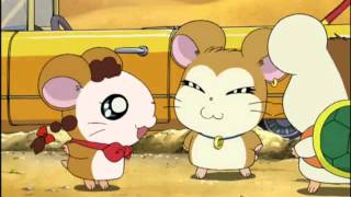 Hamtaro OST  Peppers theme short [upl. by Salguod863]