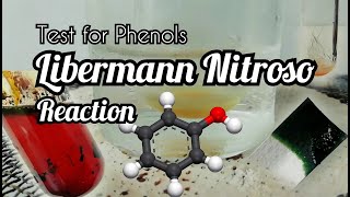 Libermann Nitroso reaction  test for phenols [upl. by Nepsa]