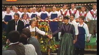 Musikantenstadl Allstars  Musikalische Reise durch Österreich Medley 1989 [upl. by Einalem889]