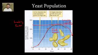 Ecology Part 4  Population Ecology [upl. by Dewayne]