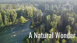 The Babine River One of BCs Natural Wonders  fly fishing for sockeye [upl. by Novehs523]