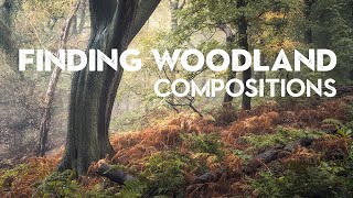 7 SIMPLE composition TIPS for WOODLAND PHOTOGRAPHY [upl. by Keever]