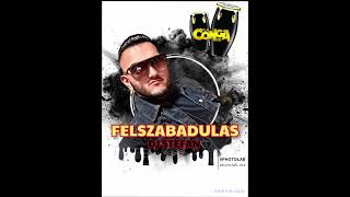 💣🙈CONGA REMIX Felszabadulás DJ STEFAN🙉 💣 [upl. by Aronel481]