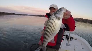 Catching Stripers in December [upl. by Jude154]