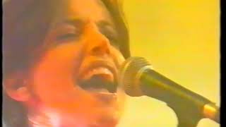 BABY ANIMALS Backbone Live Australian TV 1994 2 [upl. by Asil711]